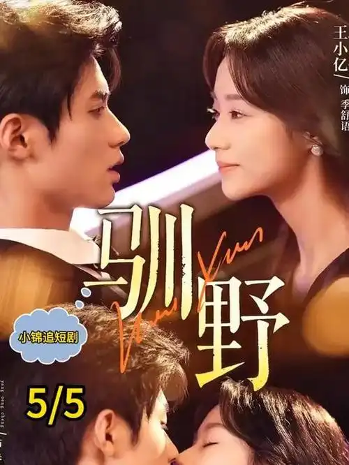 逆风摆渡职场剧集手机在线观看